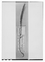 Field Museum photo negatives collection; Paris specimen of Lepidium spicatum Desv., CHILE, P. Commerson, Holotype, P