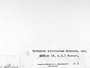 Label image for C0310481F