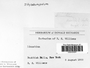 Label image for C0310797F