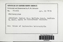 Label image for C0578242F