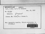 Label image for C0579542F