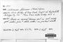Label image for C1029431F