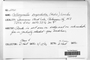 Label image for C1034040F
