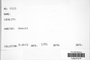 Label image for C1063767F