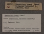 UC 19176 label