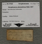 PE 57842 label