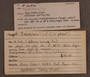 PP 26496 Label