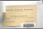 Label image for C0211541F