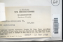 Label image for C0215845F