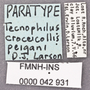 Tecnophilus croceicollis peigani PT labels