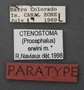 Ctenostoma erwini PT labels