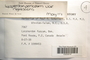 Label image for C0225874F