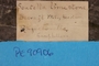 PE 90906 Label