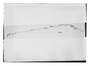 Field Museum photo negatives collection; Paris specimen of Monnina richardiana var. angustifolia A. St.-Hil., Brazil, A. Saint-Hilaire, Type [status unknown], P