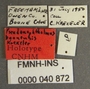 Pseudanophthalmus boonensis HT labels