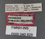 Pseudanophthalmus chthonius HT labels