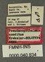 Pseudanophthalmus conditus HT labels