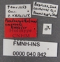 Pseudanophthalmus emersoni HT labels