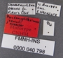 Pseudanophthalmus jeanneli HT labels