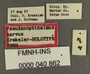 Pseudanophthalmus parvus HT labels
