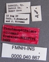 Pseudanophthalmus rittmani HT labels