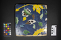 150857.B glazed ceramic tile