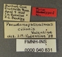 Pseudanophthalmus ciliaris PT labels