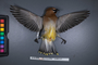 FMNH 517961