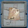1789 shell pendant