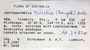 Xanthoparmelia taractica (Kremp.) Hale, Australia, H. Streimann 5640, F