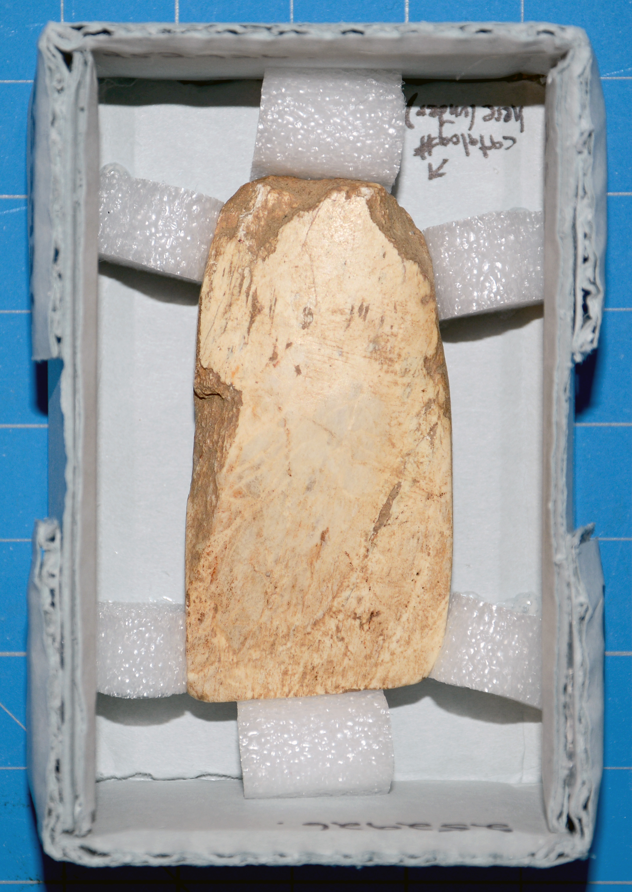 reference image in mount, angle 