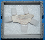 23681.1 plaster fragment