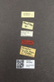 3976448 Hamotus socius PT M labels