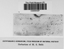 Label image for C0259432F