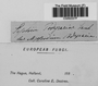 Label image for C0262227F