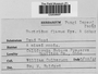 Label image for C0263892F