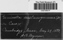 Label image for C0272651F