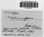 Label image for C0274457F