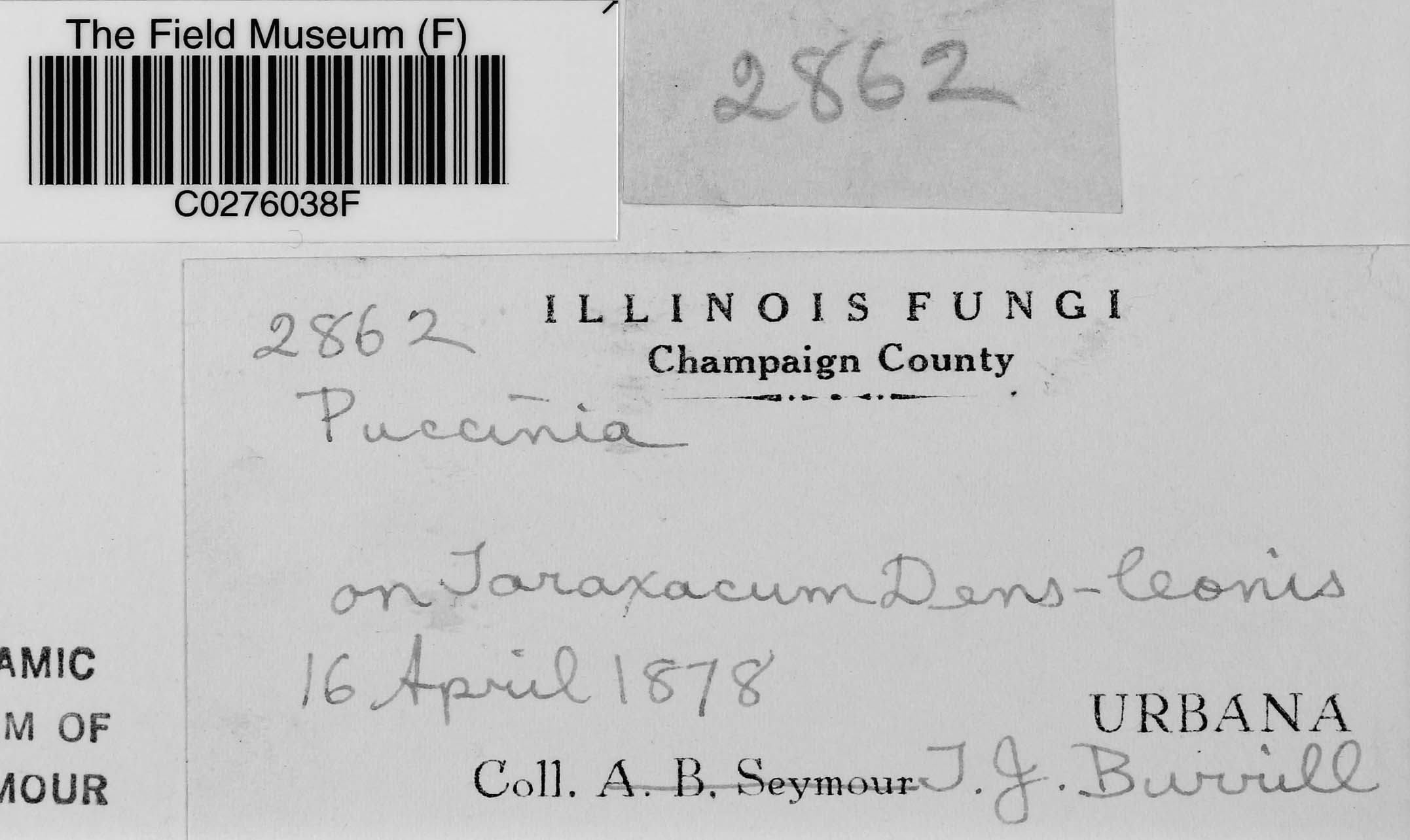 T. J. Burrill Botanical Collections