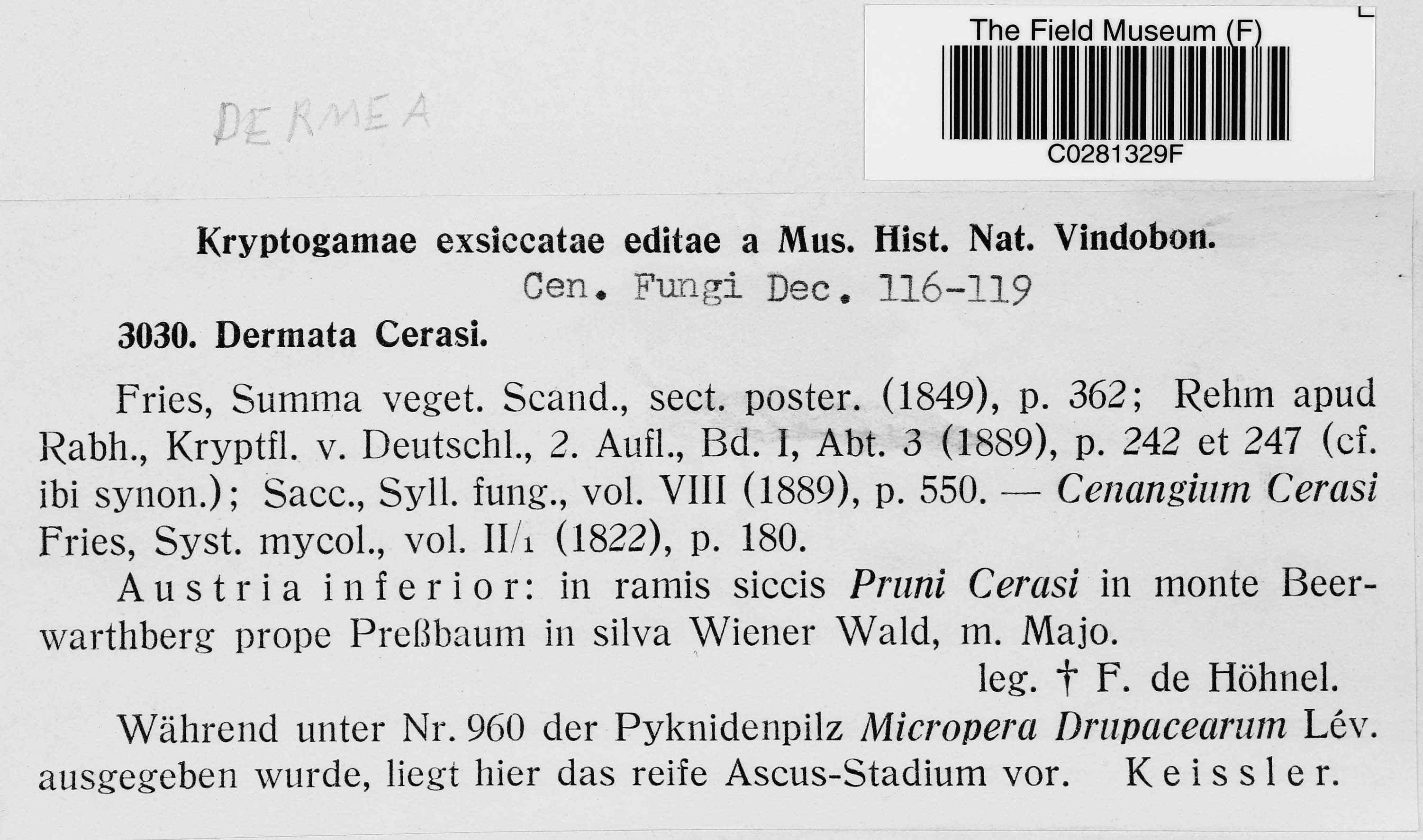 F. X. R. von Höhnel Botanical Collections