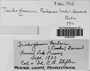 Label image for C0281930F