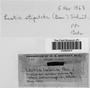 Label image for C0282591F