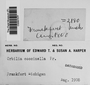 Label image for C0282757F