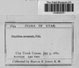 Label image for C0283237F