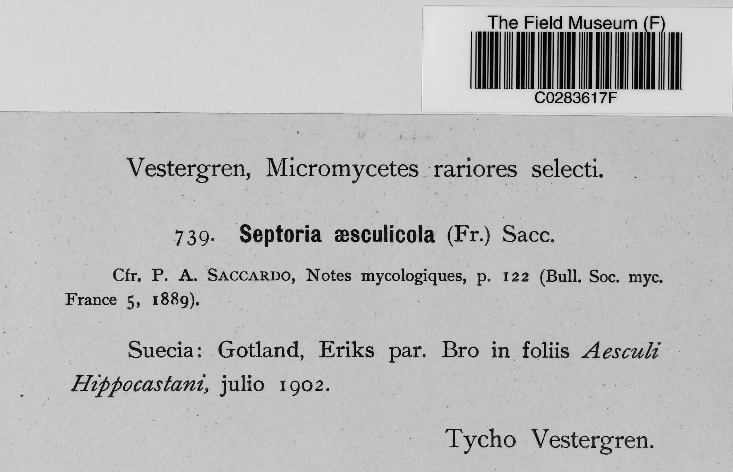 J t c vestergren botanical collections