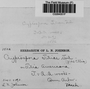 Label image for C0284051F