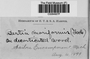 Label image for C0284927F