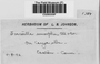 Label image for C0285059F