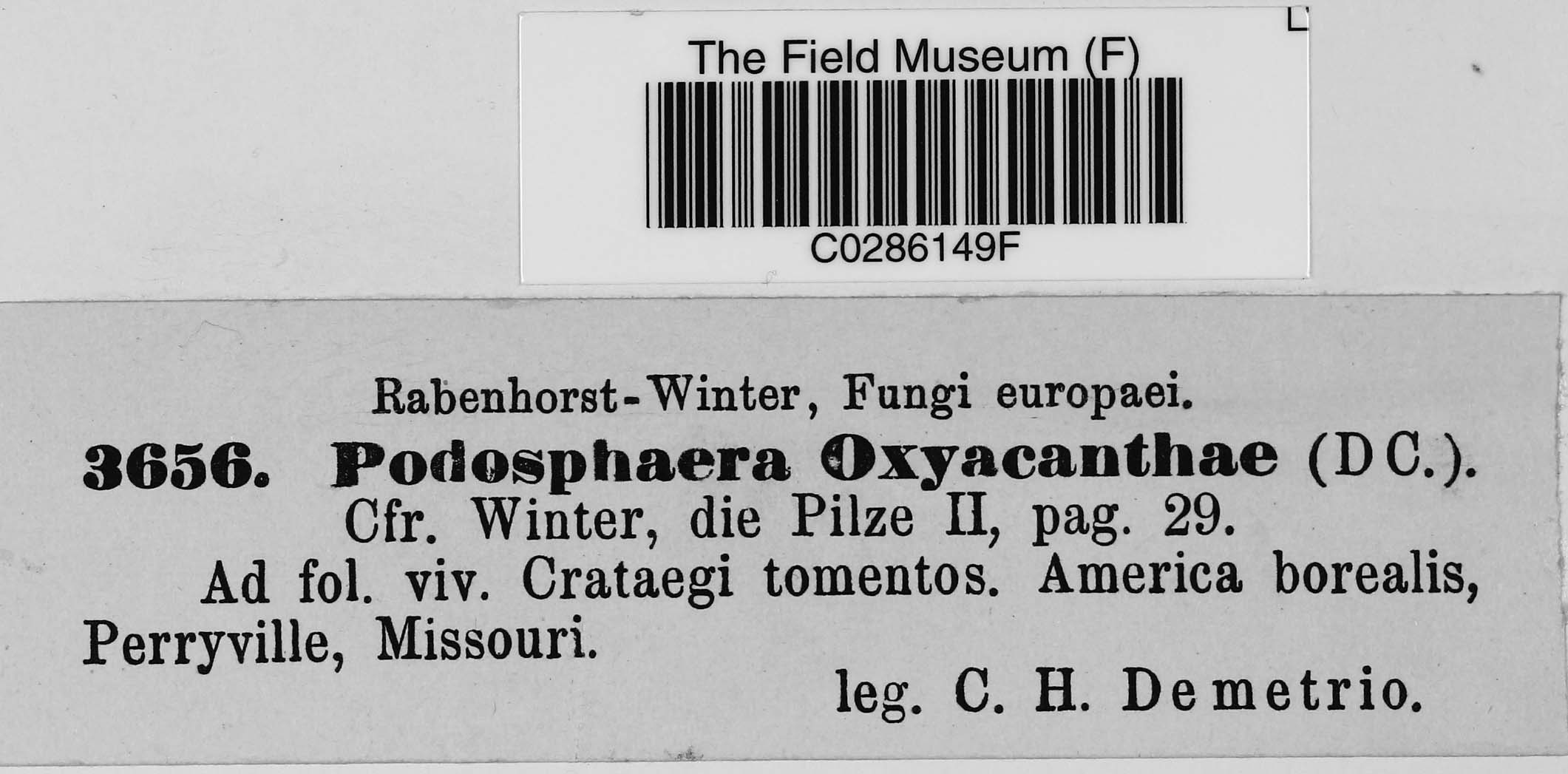 C. H. Demetrio Botanical Collections