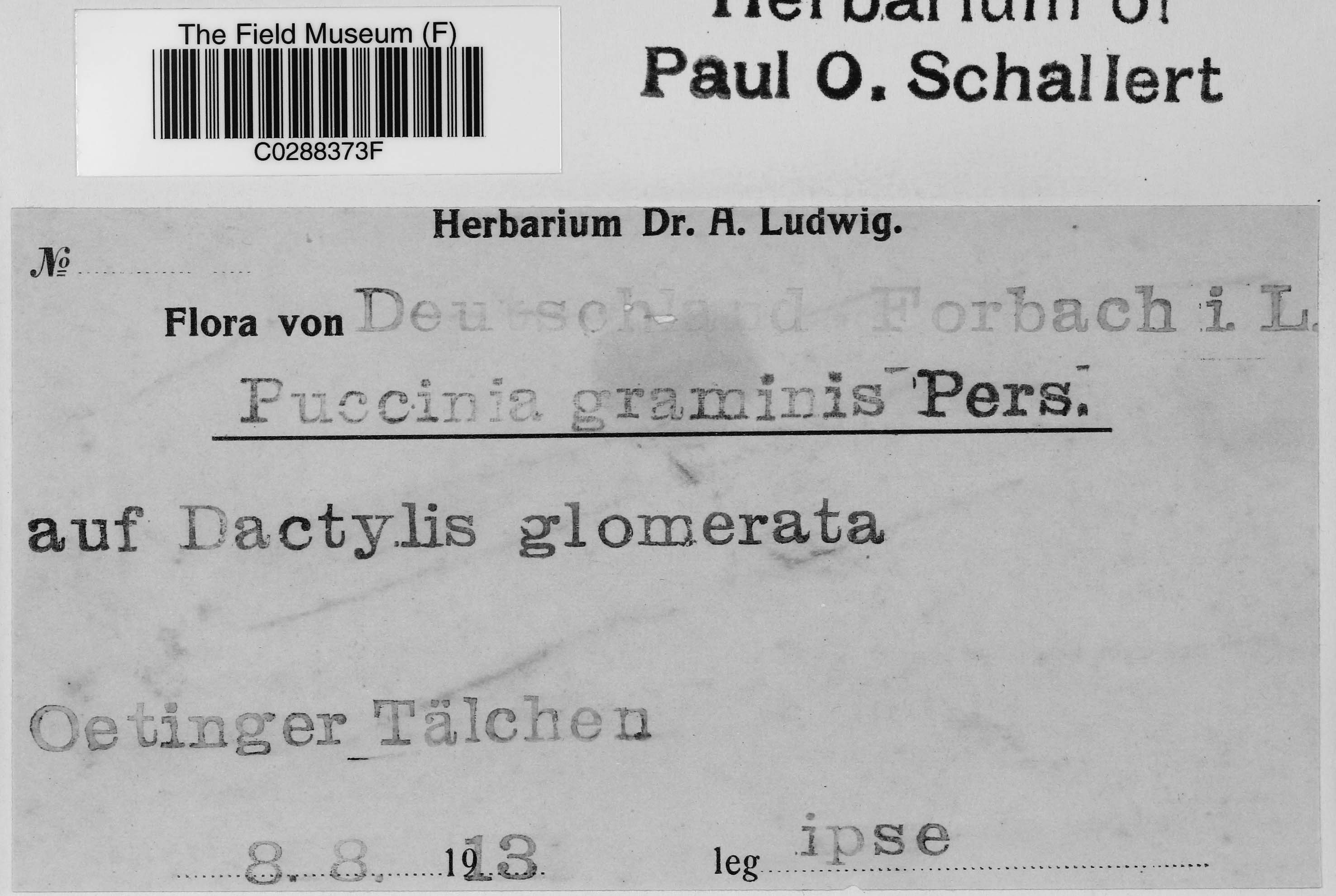 Field Museum Family Membership at Ernie Johnson blog